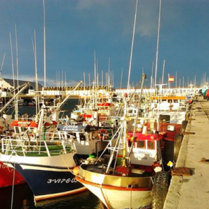 Flota pesquera de Santander